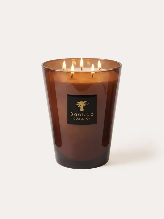 baobab-collection-les-prestigieuses-cuir-de-russie-bougie-parfum-e image 1
