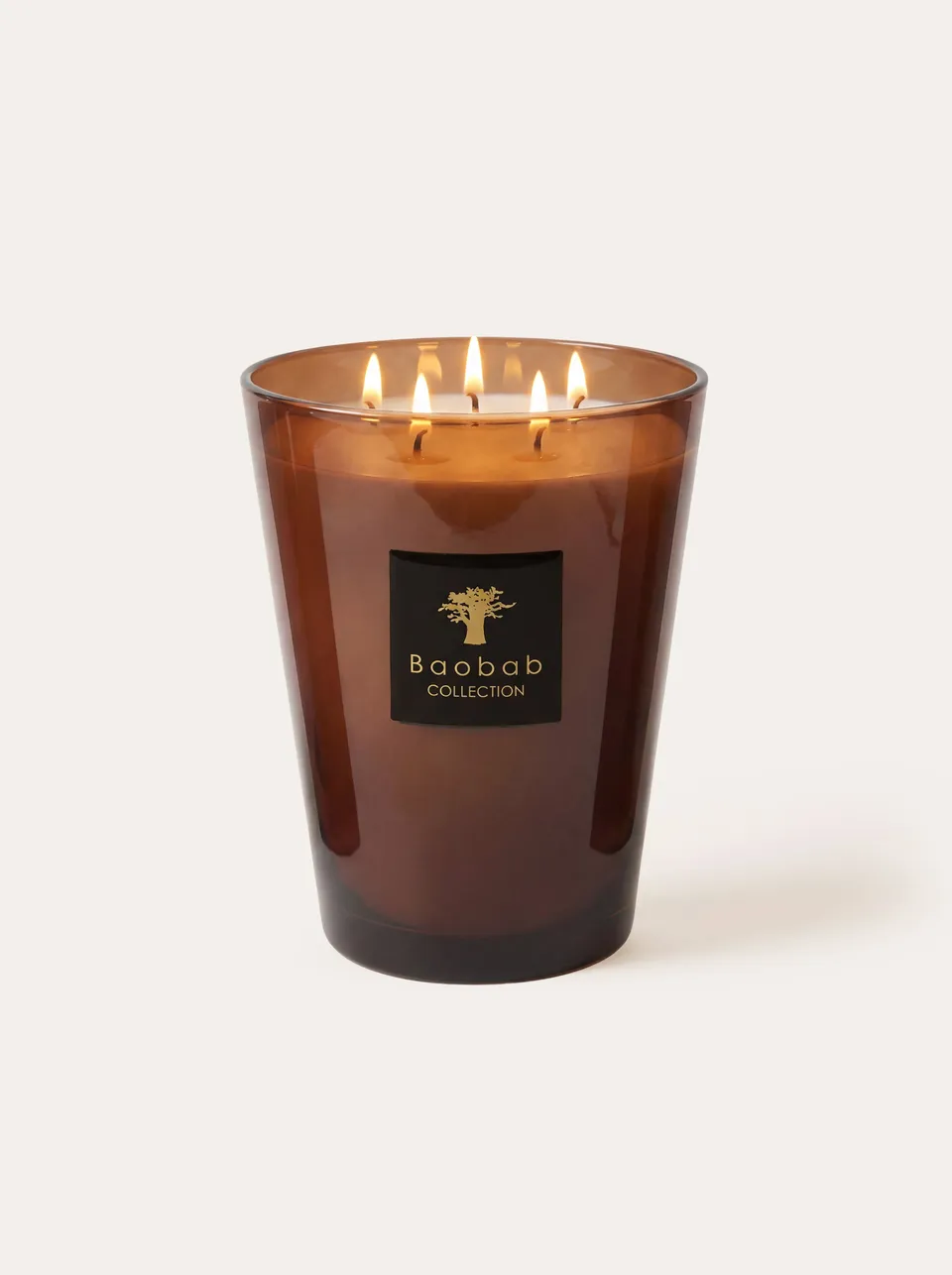 baobab-collection-les-prestigieuses-cuir-de-russie-bougie-parfum-e image 1