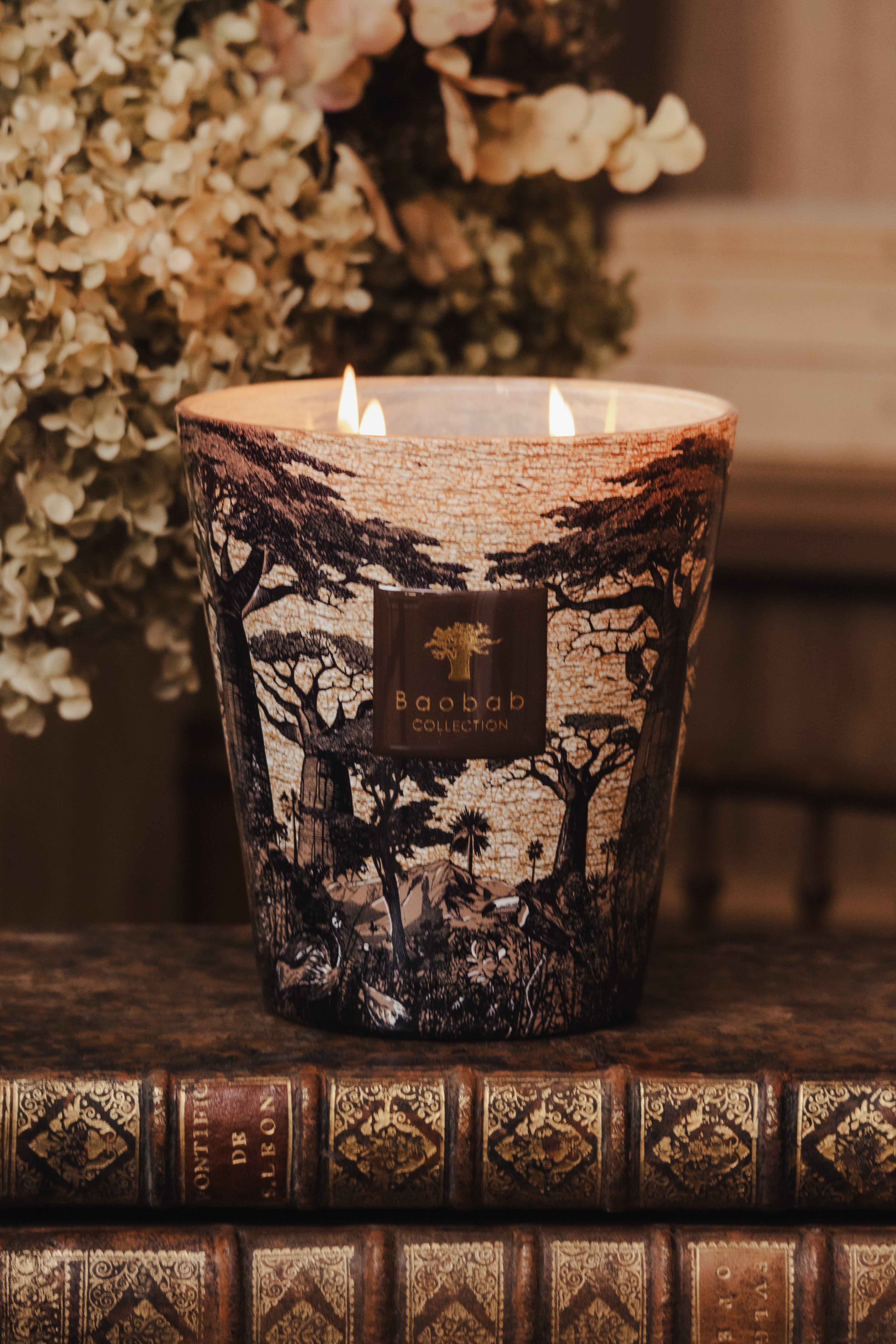 baobab-collection-bougie-parfum-e-sacred-trees-mankono image 3