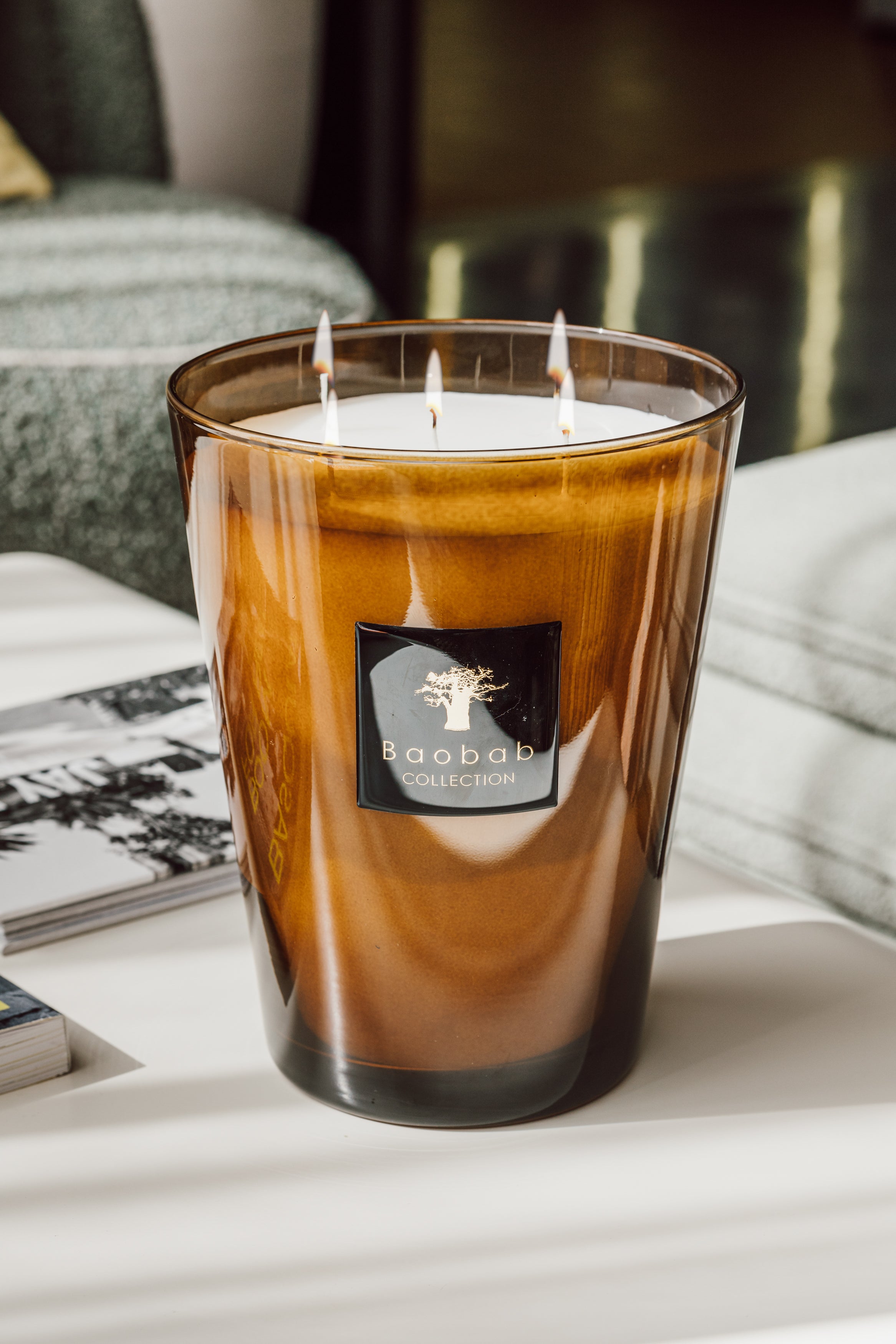 baobab-collection-les-prestigieuses-cuir-de-russie-bougie-parfum-e image 3