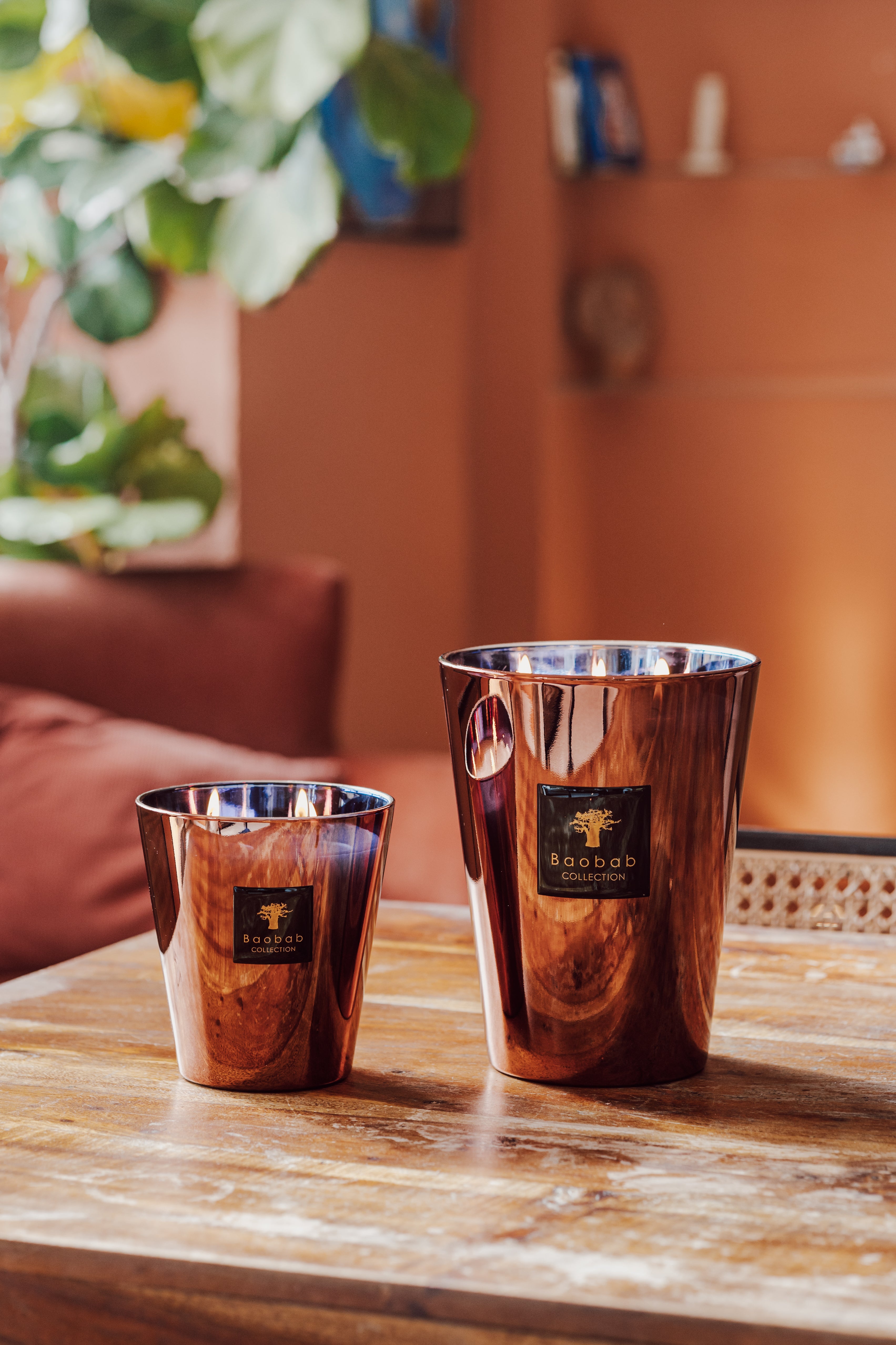 baobab-collection-bougie-parfum-e-les-exclusives-cyprium image 4