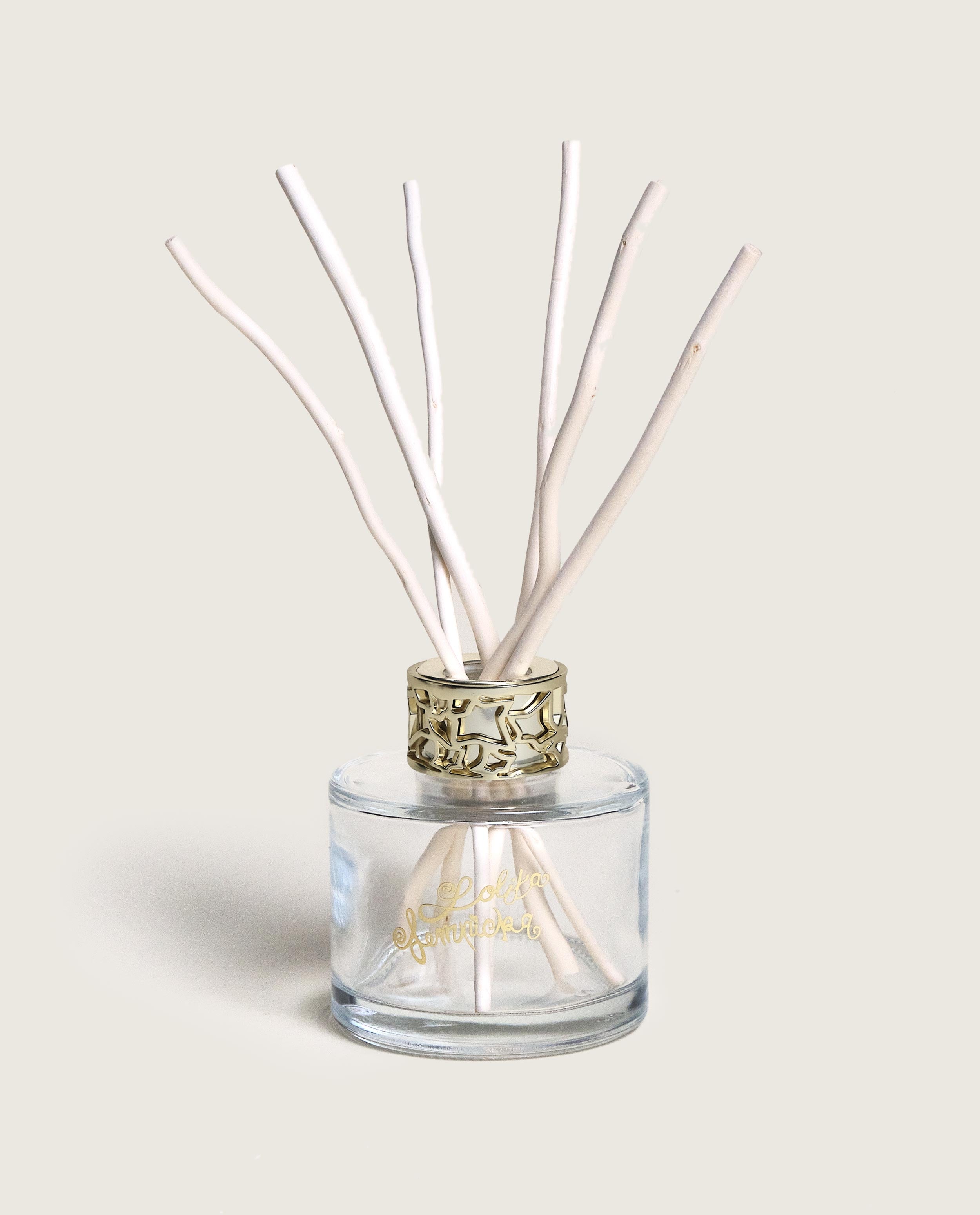 maison-berger-paris-duo-mini-bouquet-spray-lolita-lempicka-transparent image 3
