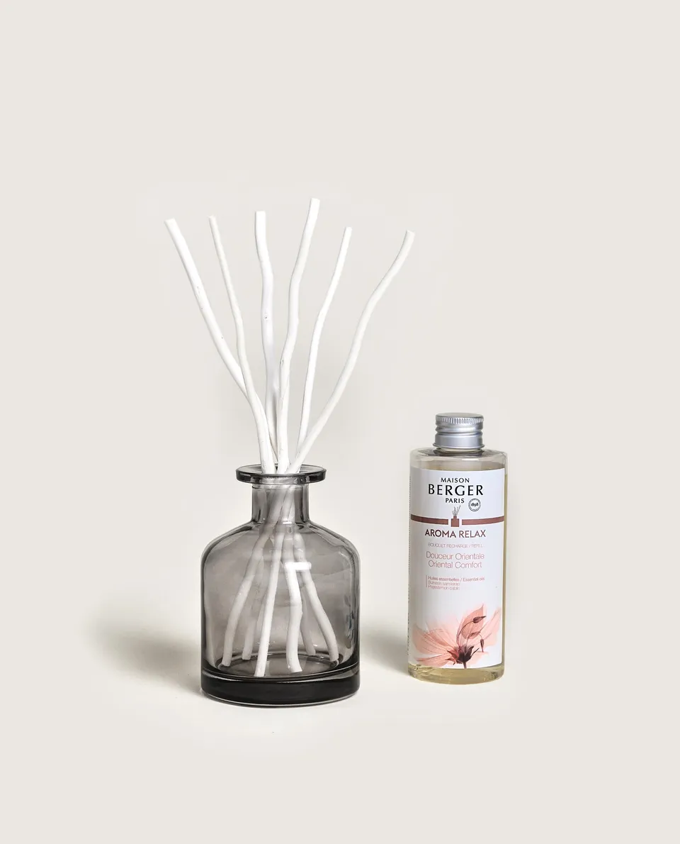 maison-berger-paris-bouquet-parfum-aroma-relax-gris-apothicaire image 1