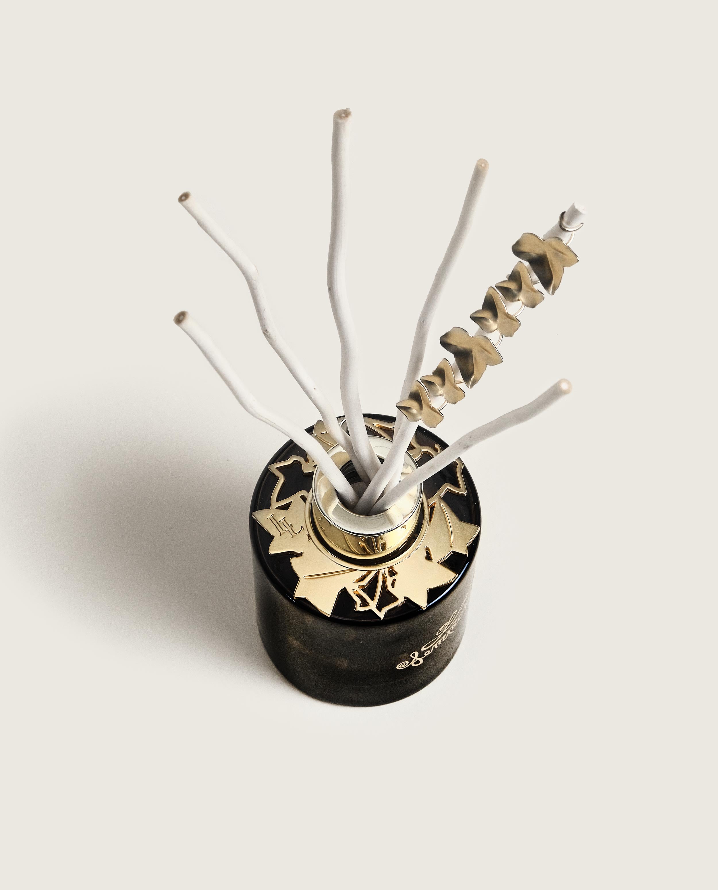 maison-berger-paris-bouquet-bijou-parfum-lolita-lempicka-black-edition image 4