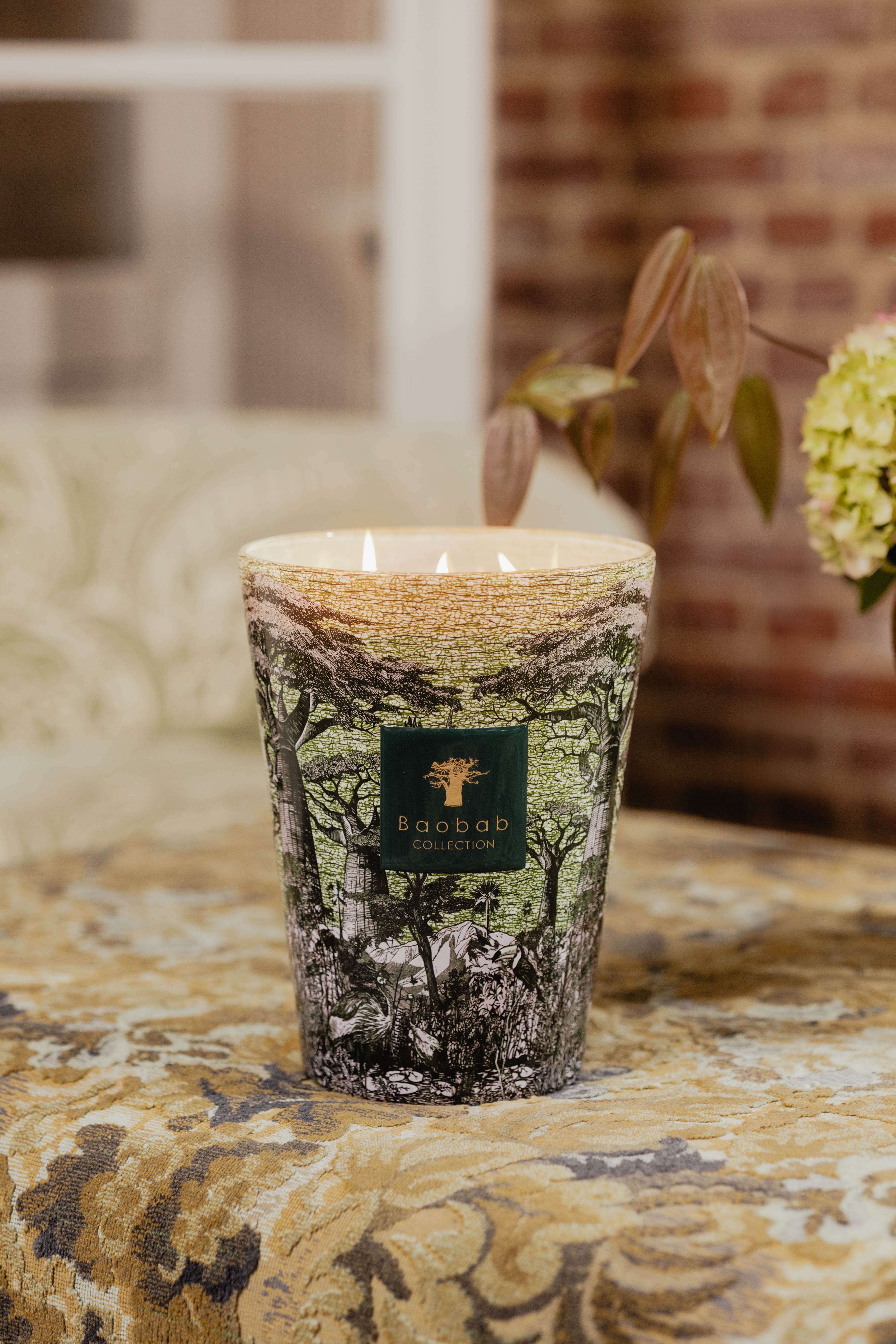 baobab-collection-sacred-trees-bougie-parfum-e-touba image 3