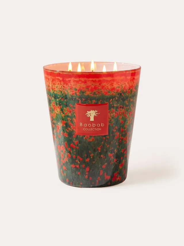 baobab-collection-arty-flowers-poppies-bougie-parfum-e image 1
