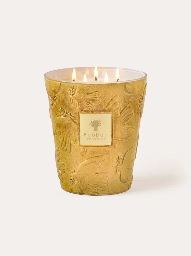 baobab-collection-bougie-parfum-e-paz-dove image 1