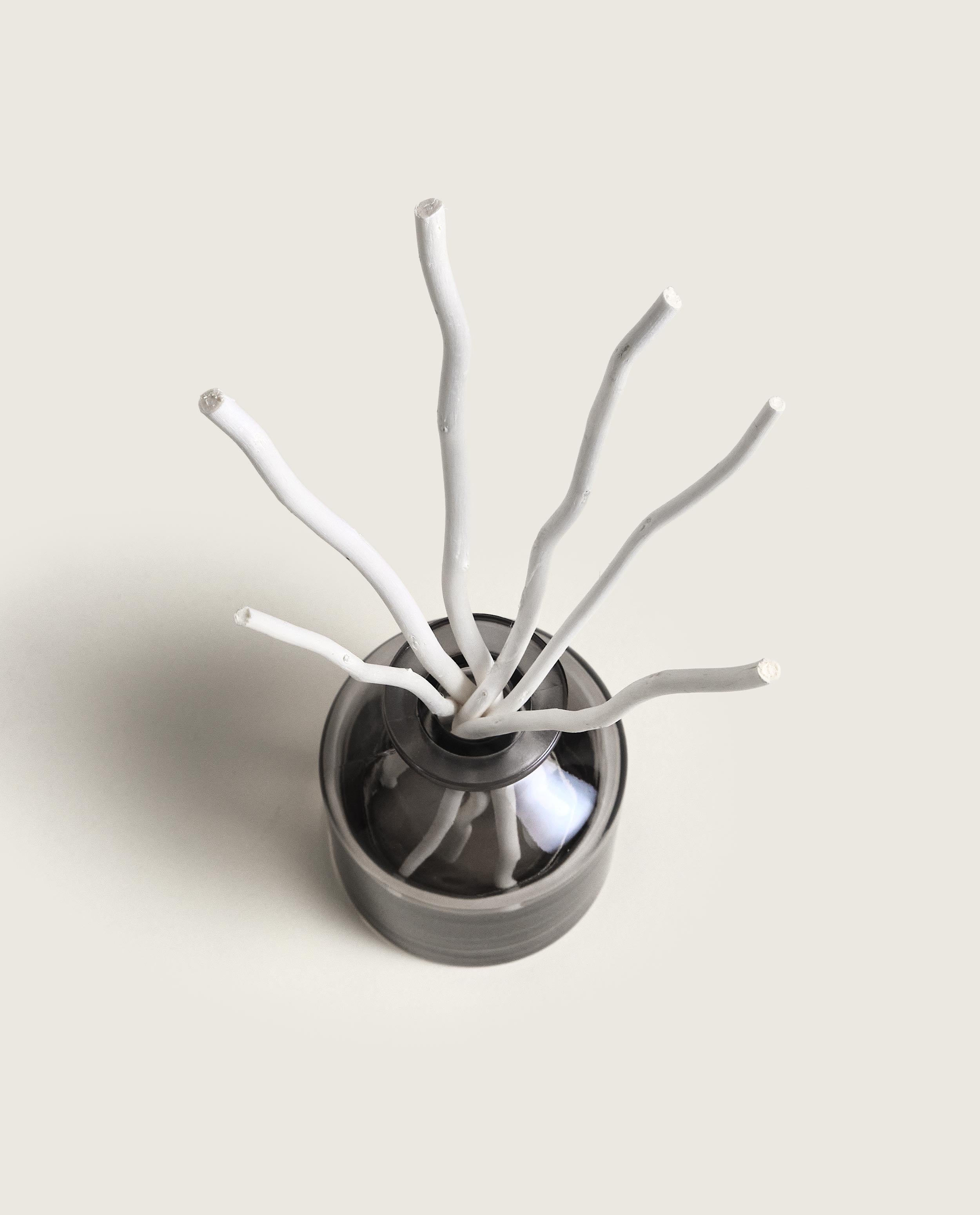 maison-berger-paris-bouquet-parfum-aroma-dream-gris-apothicaire image 3
