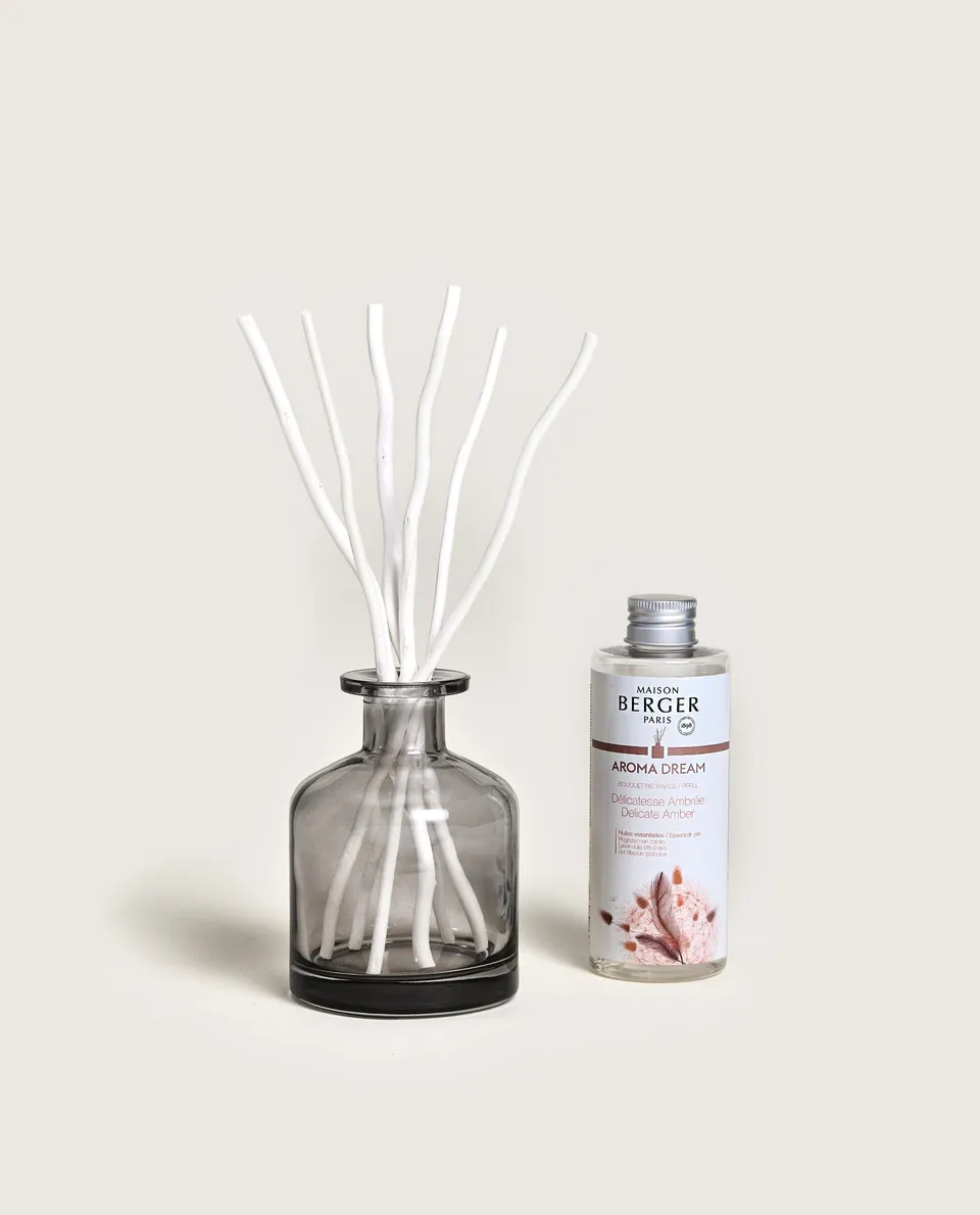 maison-berger-paris-bouquet-parfum-aroma-dream-gris-apothicaire image 1