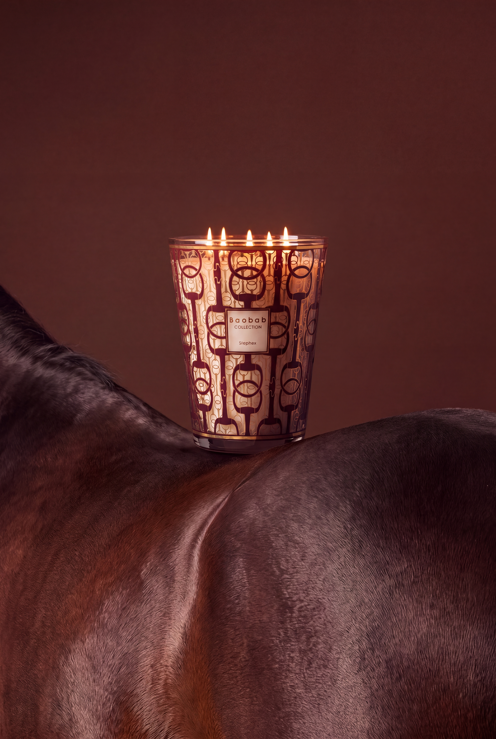 baobab-collection-stephex-bougie-parfum-e-dition-exclusive image 2
