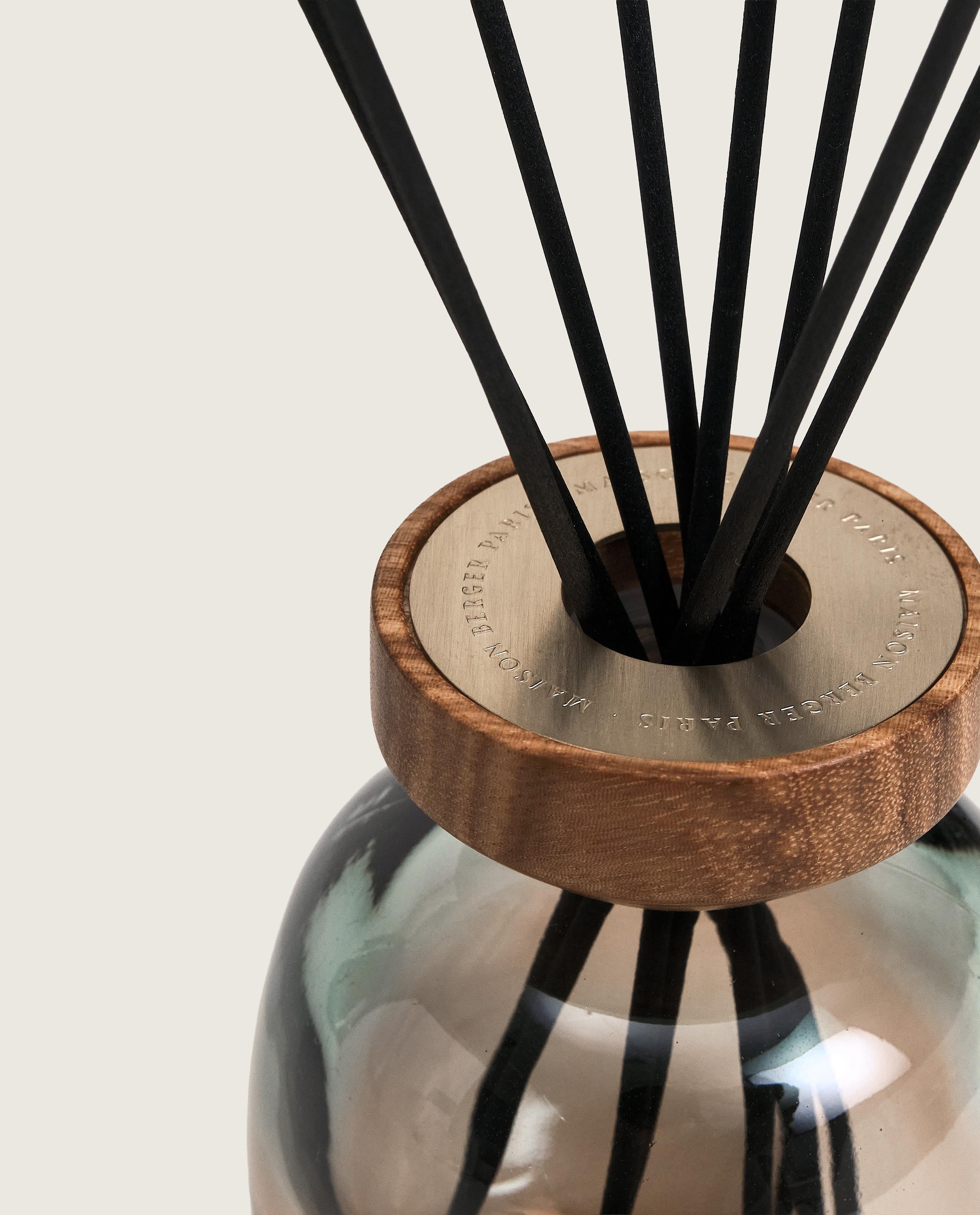 maison-berger-paris-bouquet-parfum-wood-zeste-de-verveine image 3