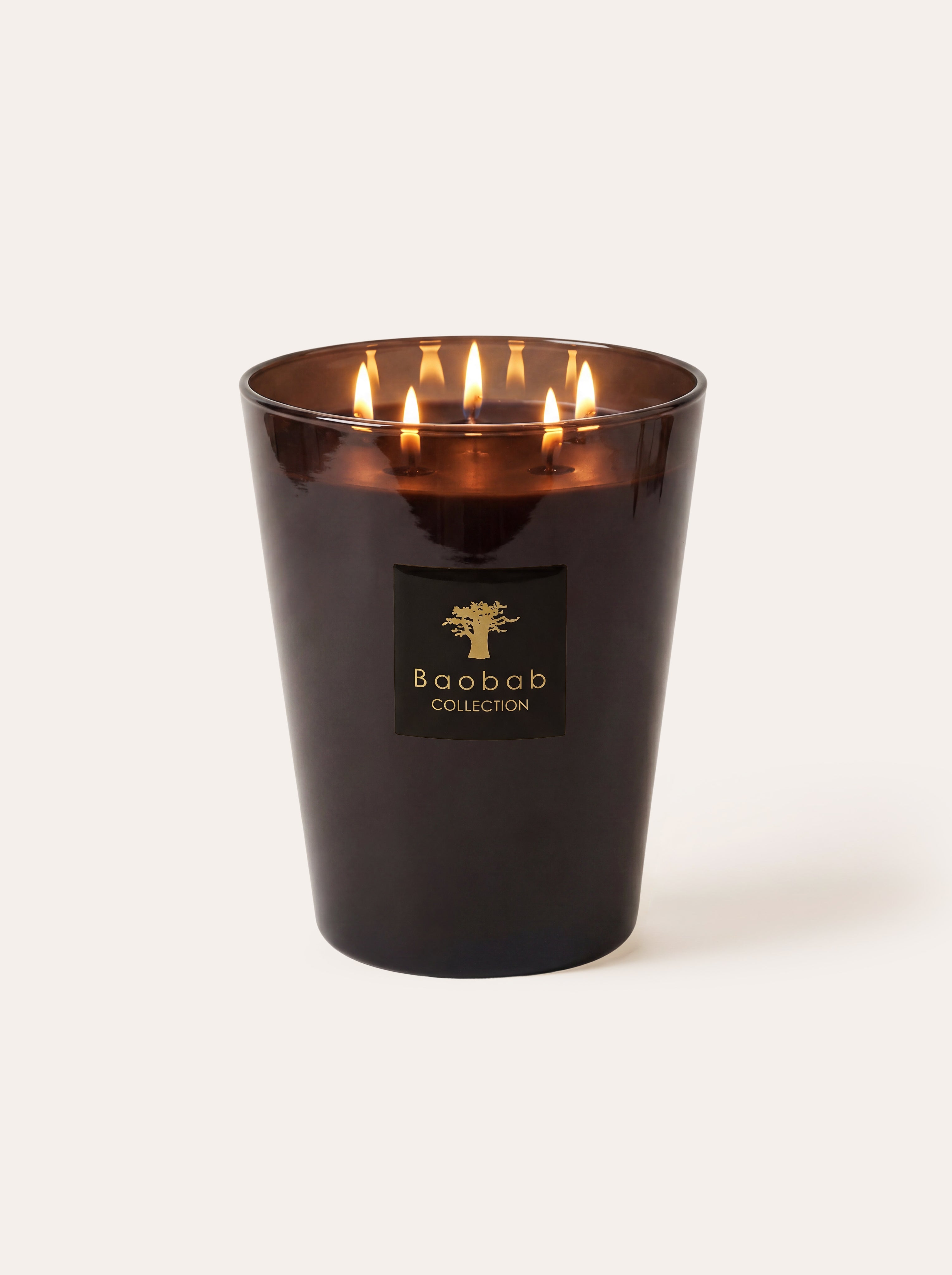 baobab-collection-les-prestigieuses-bougie-parfum-e-encre-de-chine image 1