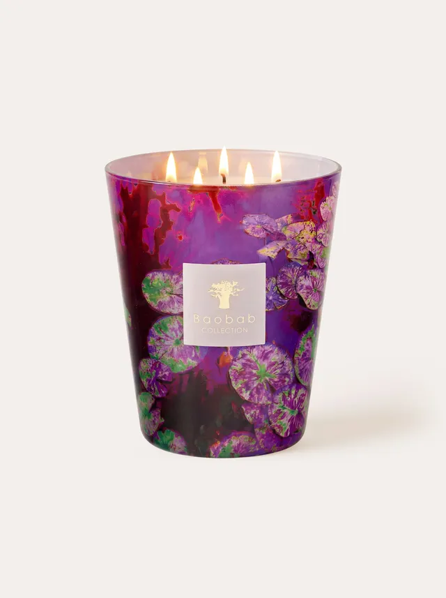 baobab-collection-arty-flowers-bougie-parfum-e-water-lily-bougie-d-corative image 1