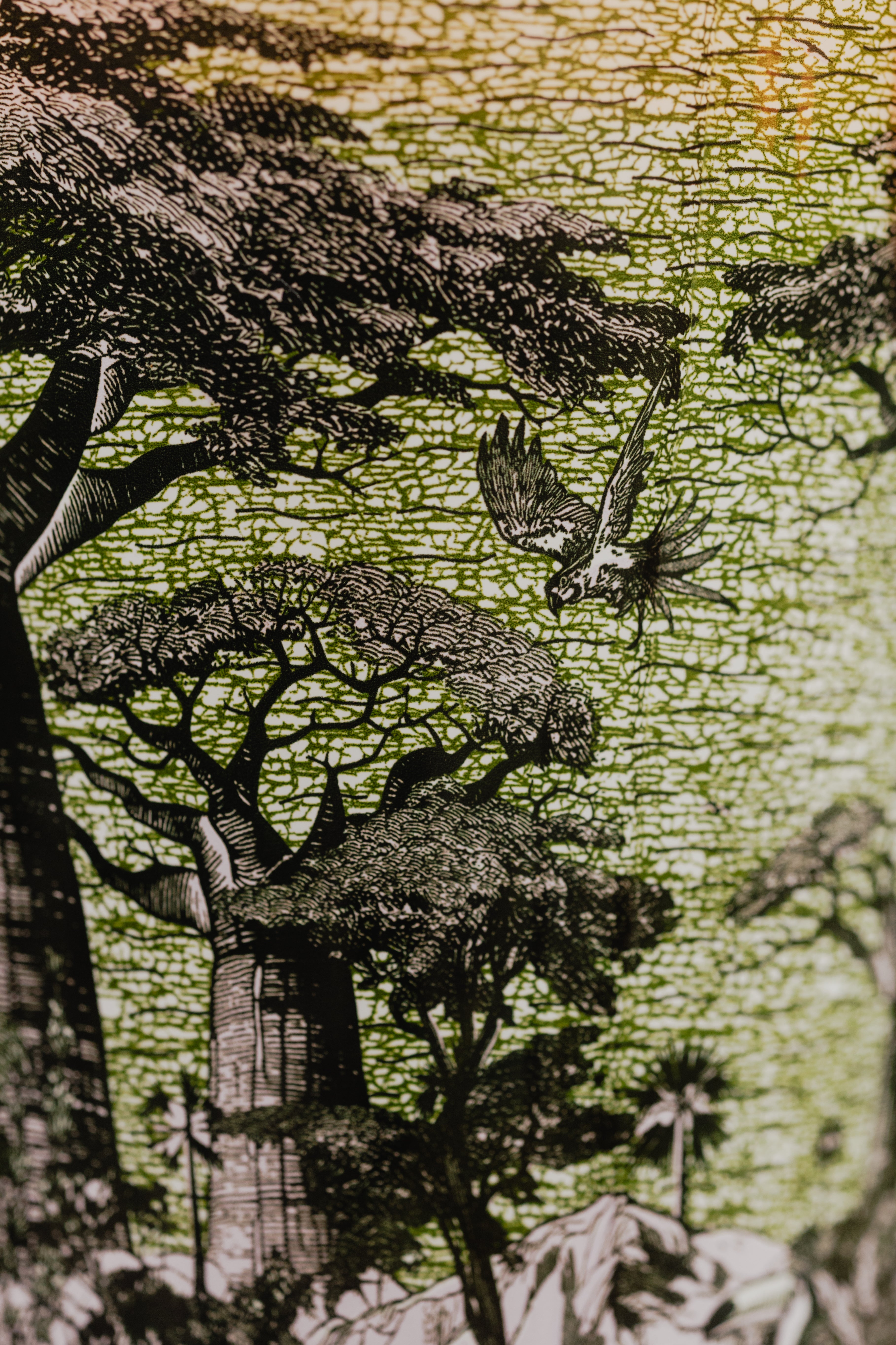 baobab-collection-sacred-trees-bougie-parfum-e-touba image 4