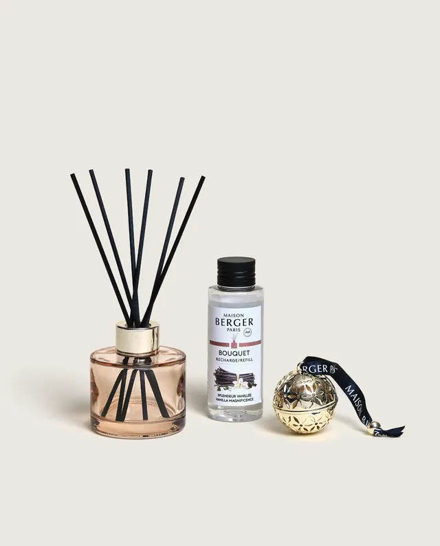 maison-berger-paris-coffret-les-petits-tr-sors-pomelis-bouquet-pomander image 1