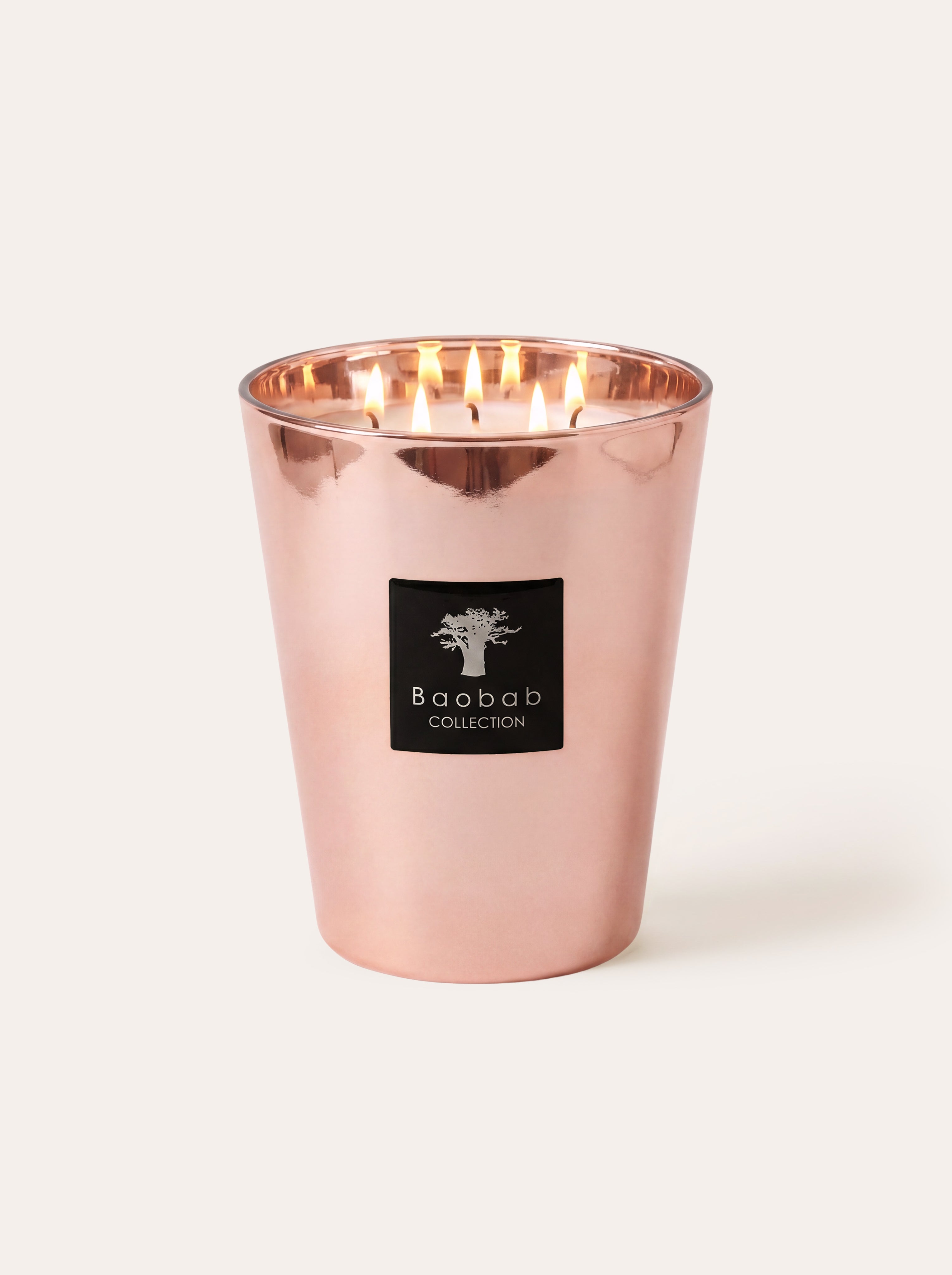 baobab-collection-les-exclusives-bougie-parfum-e-roseum image 1
