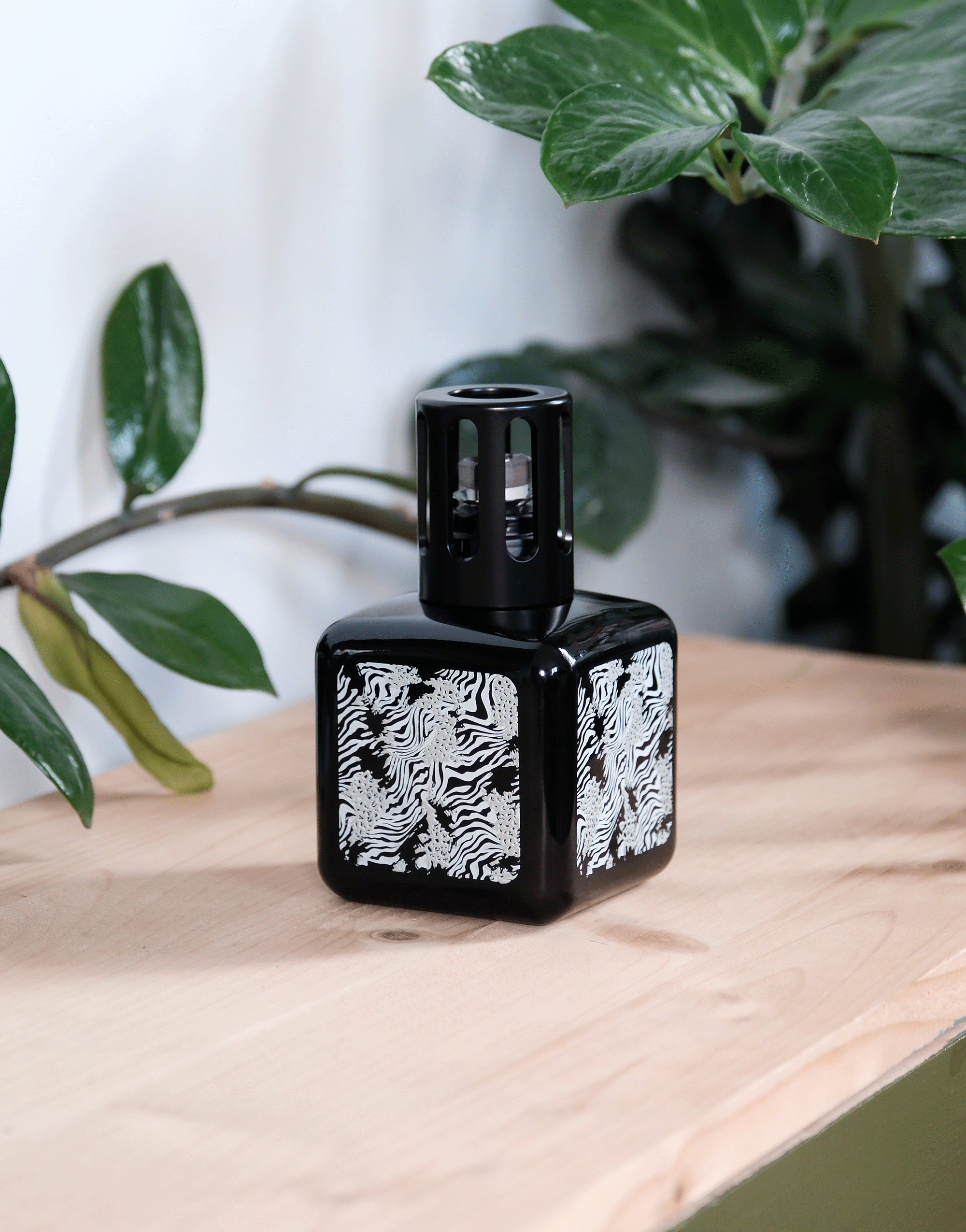 maison-berger-paris-coffret-lampe-berger-gla-on-animal-poussi-re-d-ambre image 6