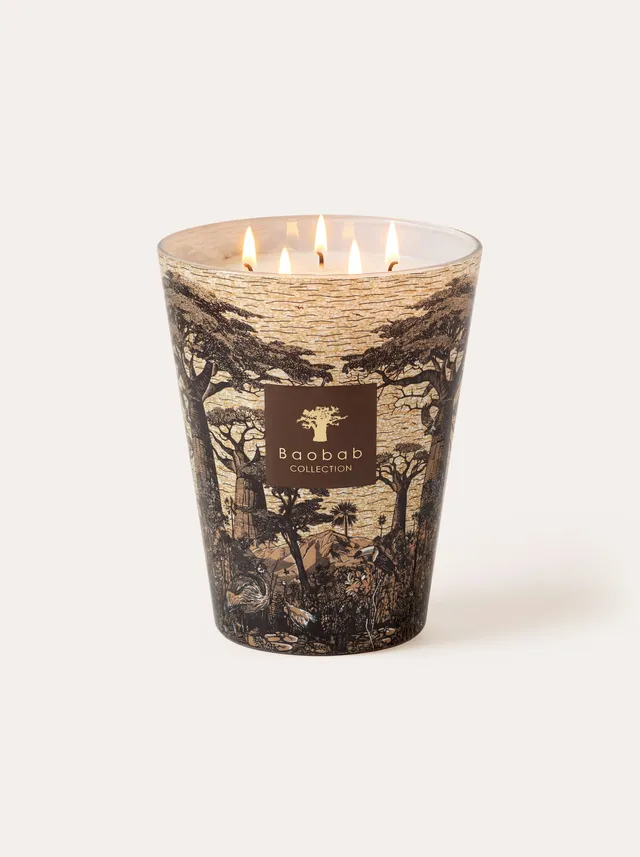baobab-collection-bougie-parfum-e-sacred-trees-mankono image 1