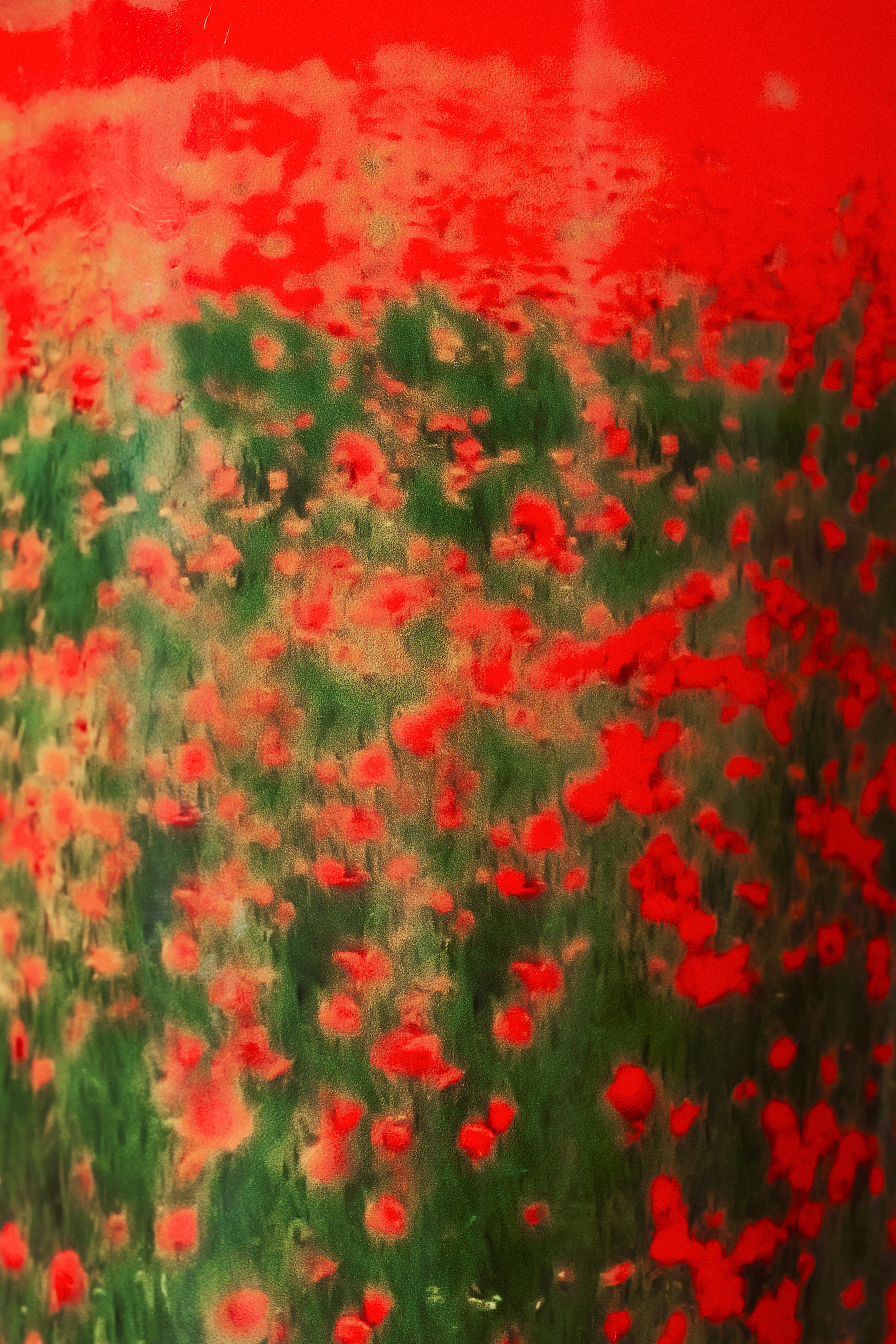 baobab-collection-arty-flowers-poppies-bougie-parfum-e image 4