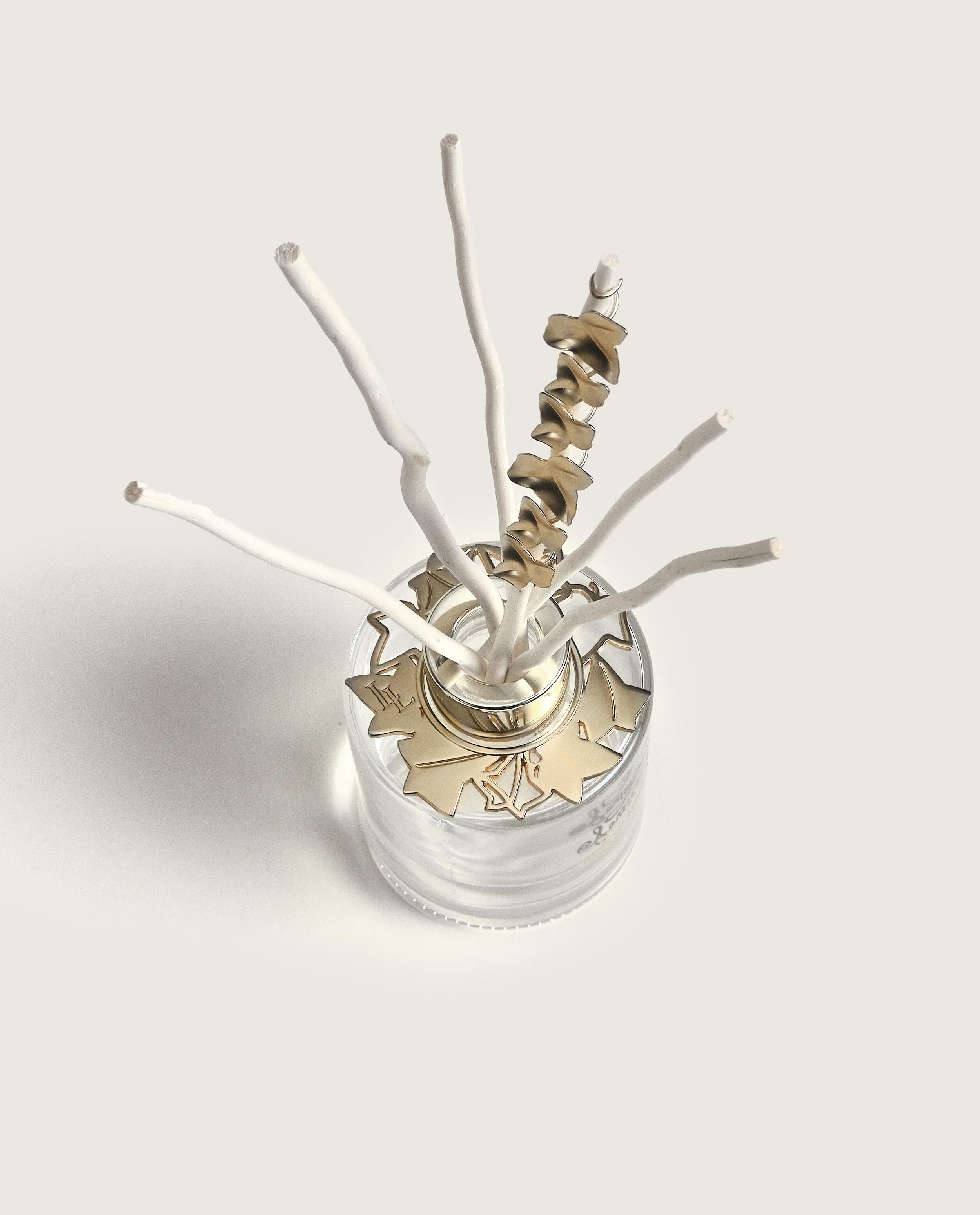maison-berger-paris-bouquet-bijou-lolita-lempicka-transparent-mon-premier-parfum image 4