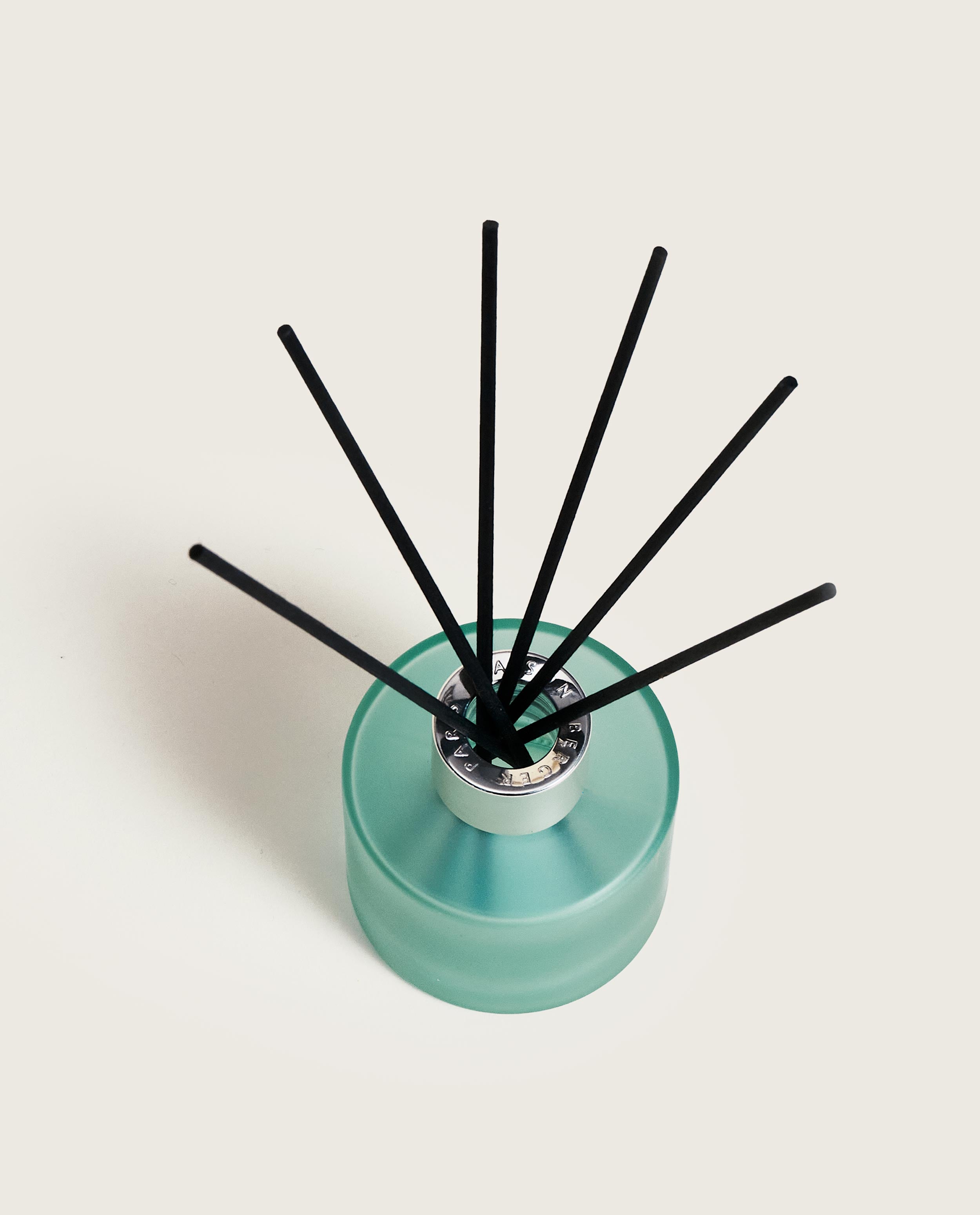 maison-berger-paris-mini-bouquet-estivale-zeste-de-verveine image 3
