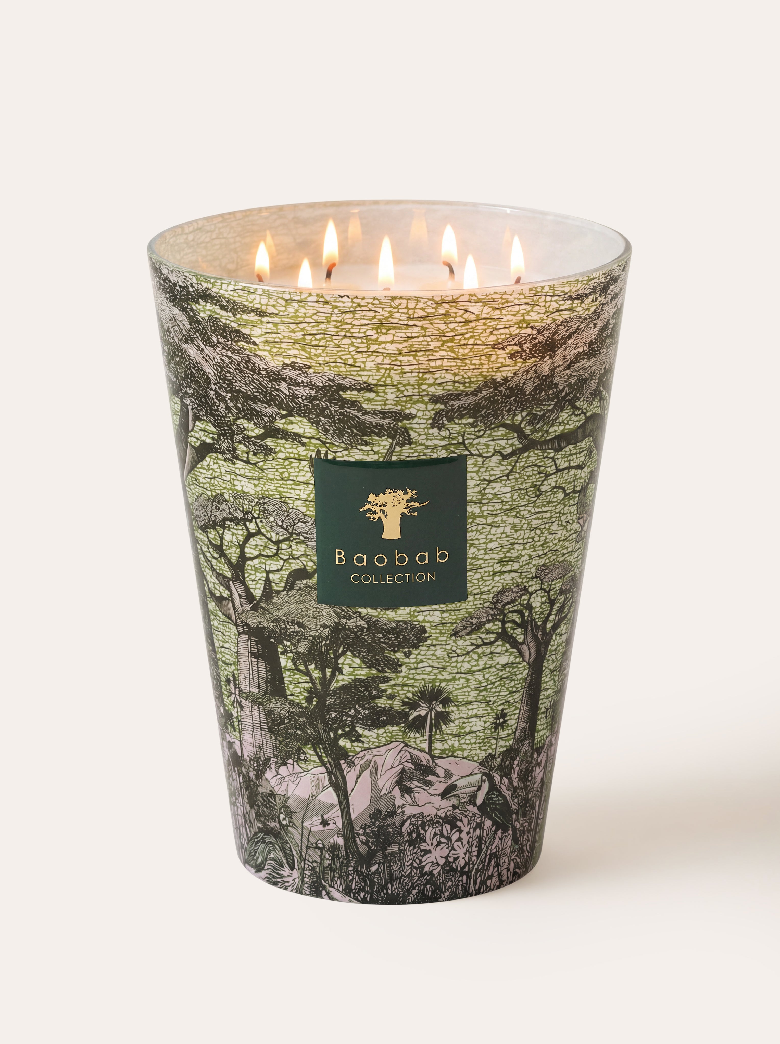 baobab-collection-sacred-trees-bougie-parfum-e-touba image 7