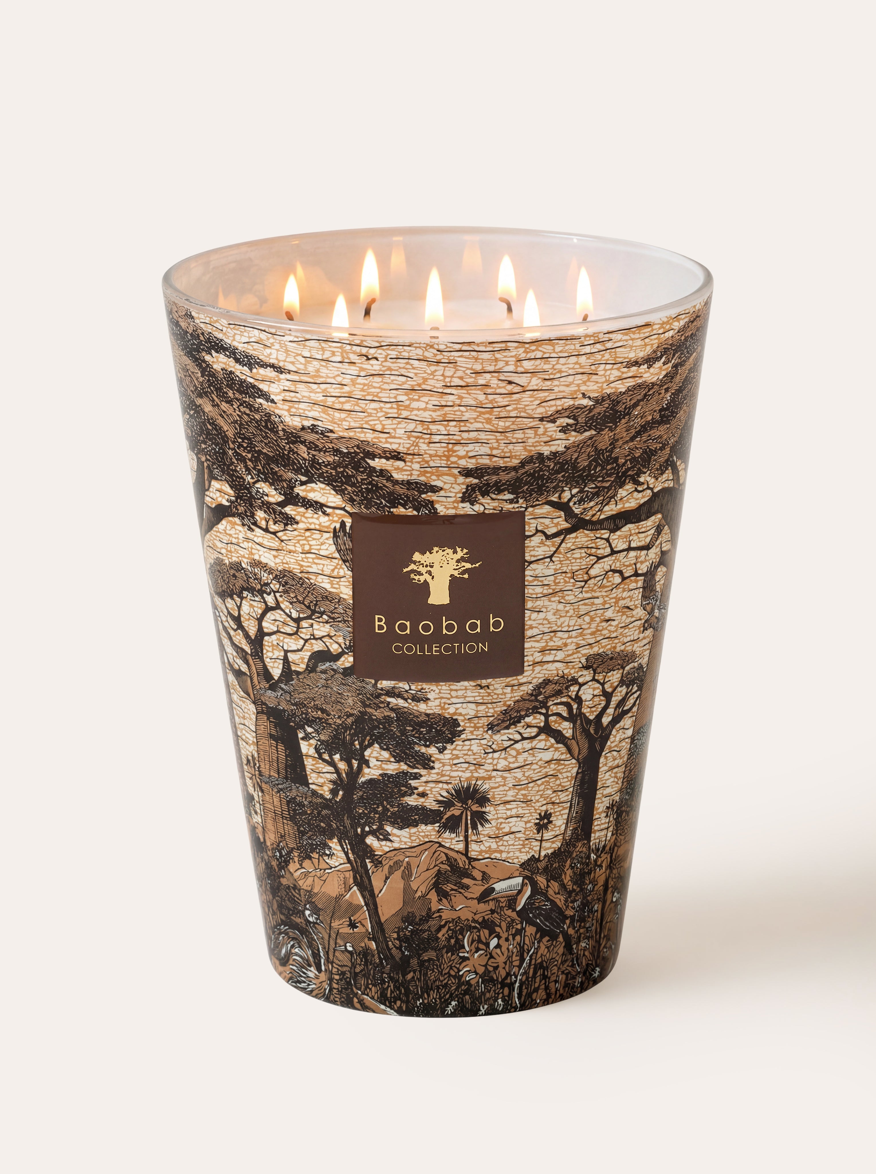 baobab-collection-bougie-parfum-e-sacred-trees-mankono image 8