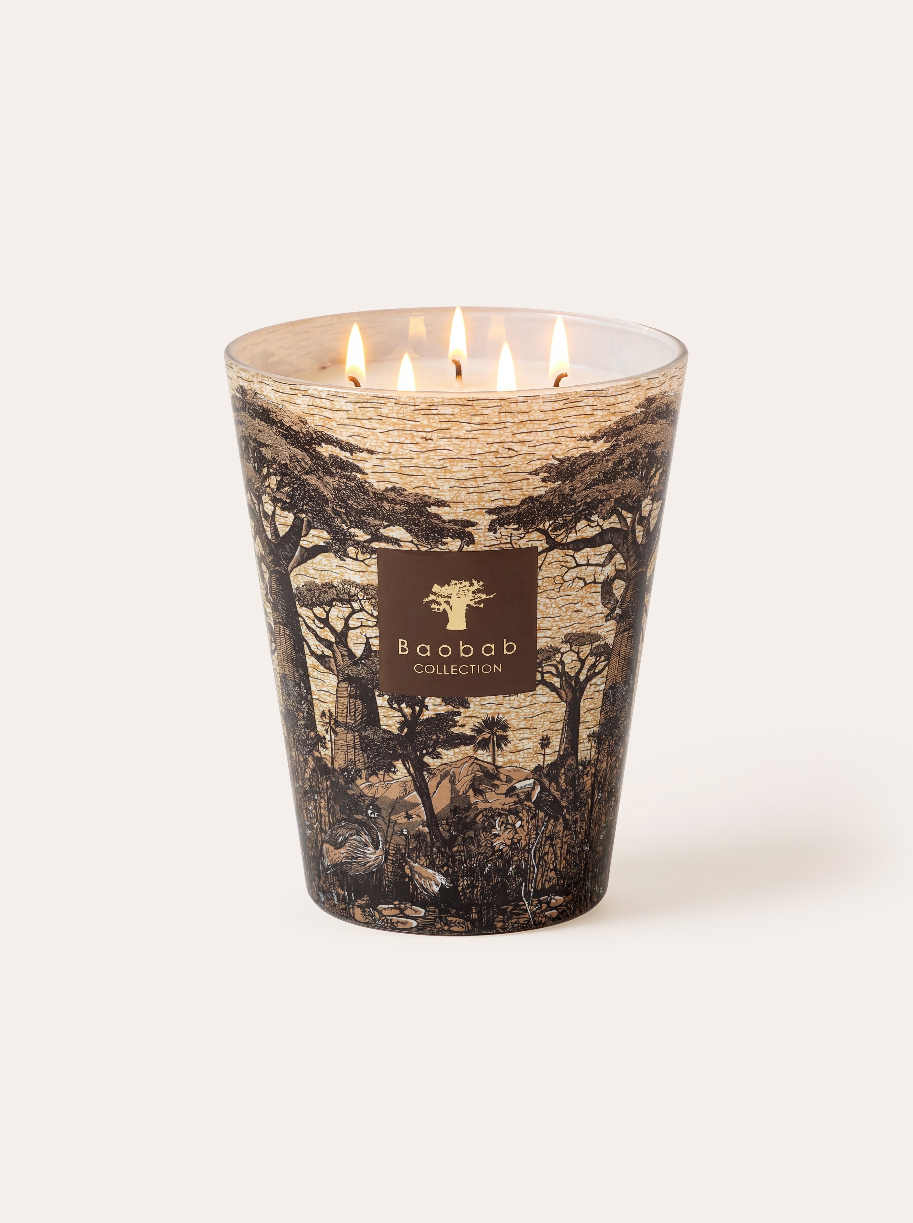 baobab-collection-bougie-parfum-e-sacred-trees-mankono image 1